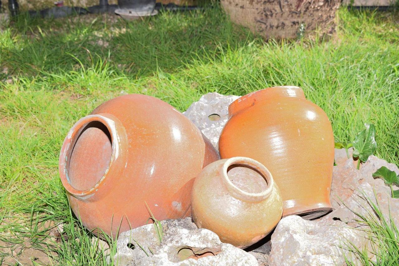 Vakantiehuis 147 Terra Nostra Etv6544 By Mallorca Charme *
